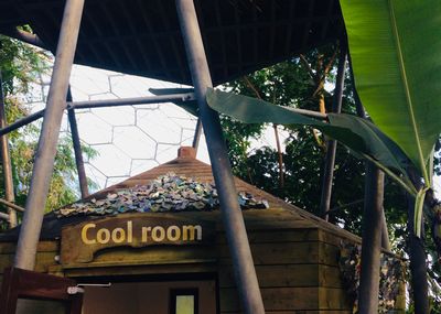エデン・プロジェクト　熱帯雨林ドームのクールルーム