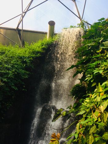 エデン・プロジェクト　熱帯ドームの滝