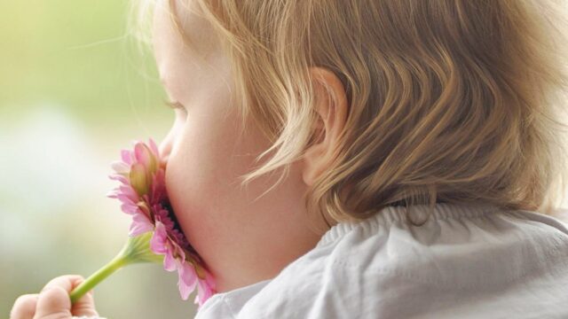 花や植物が由来 外国人の女の子の名前45選 かわいい 画像と花言葉でイメージがふくらむ 毎日イギリス生活