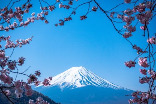 日本　イギリス人　富士山